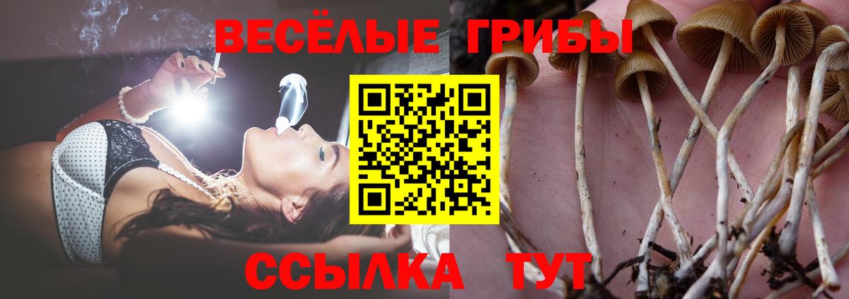 Галлюциногенные грибы MAGIC MUSHROOMS Казань